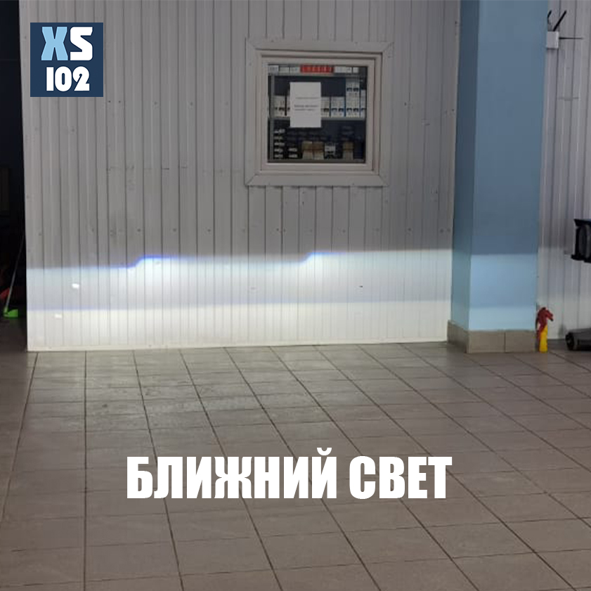 ЛЛ.jpg