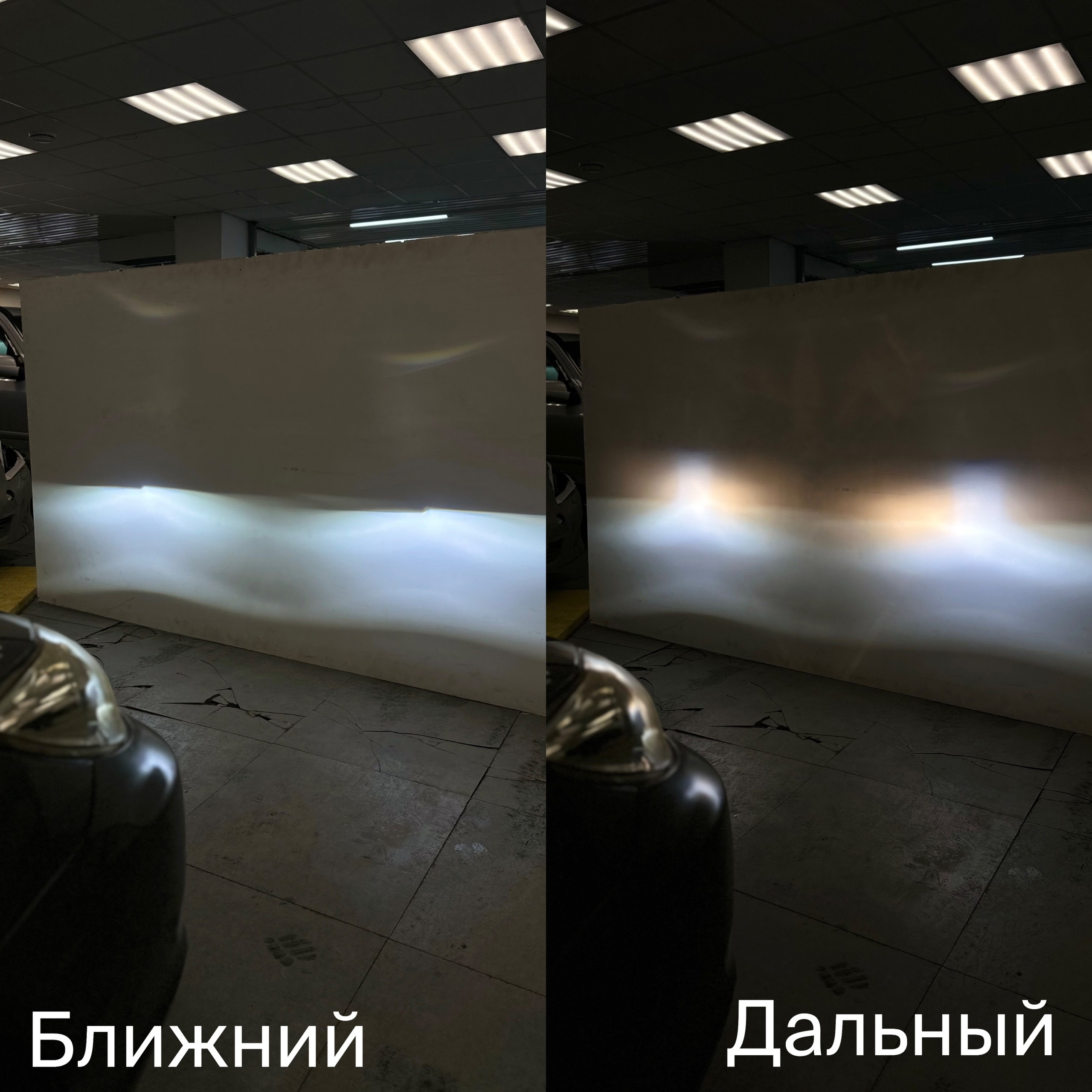 W4GNQYrxziI.jpg