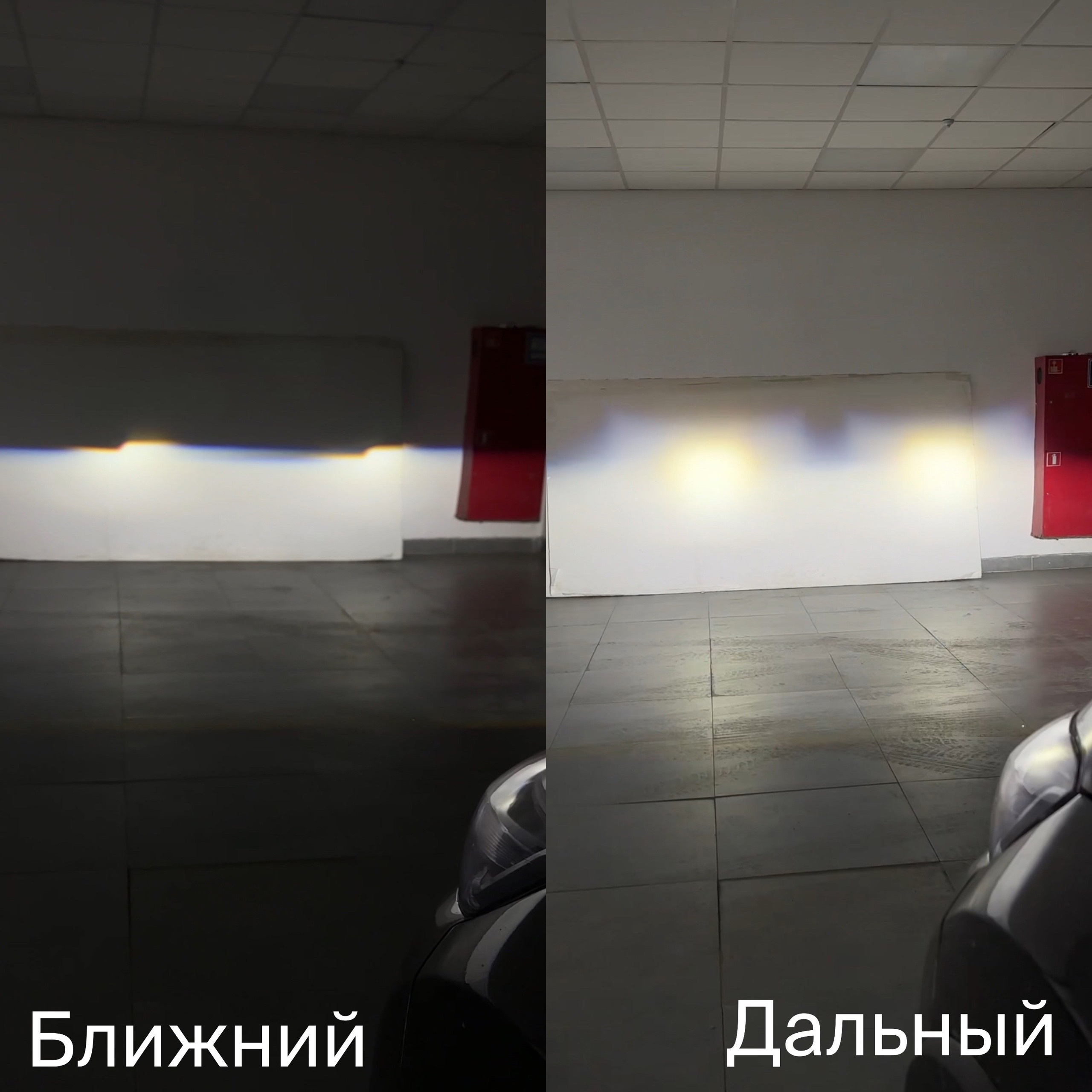 7RJZrKzSipw.jpg