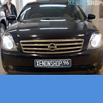 Линз Morimoto mini D2S G5 2.5/Nissan Teana J31